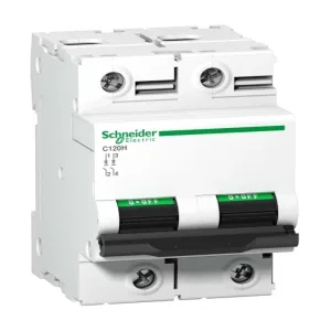Автоматический выключатель Schneider Electric Acti9 2P 100А (C) 15кА (ШНАЙДЕР) Автоматический выключатель Schneider Electric Acti9 2P 100А (C) 15кА (ШНАЙДЕР)
