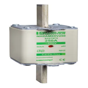 Предохранитель 2E AM 250A (ШНАЙДЕР) Предохранитель 2E AM 250A (ШНАЙДЕР)