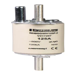 Предохранитель OE GF 160 (ШНАЙДЕР) Предохранитель OE GF 160 (ШНАЙДЕР)