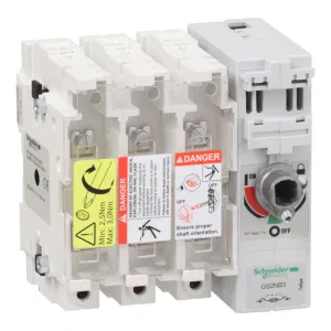 Рубильник с предохранителем Schneider Electric TeSys GS 250А 3P, B1, B2, B3 (ШНАЙДЕР) Рубильник с предохранителем Schneider Electric TeSys GS 250А 3P, B1, B2, B3 (ШНАЙДЕР)